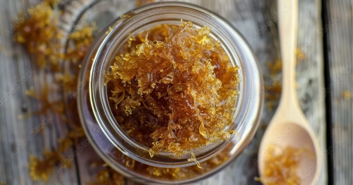 A Soothing Superfood: How to Make and Use Sea Moss Jelly at Home